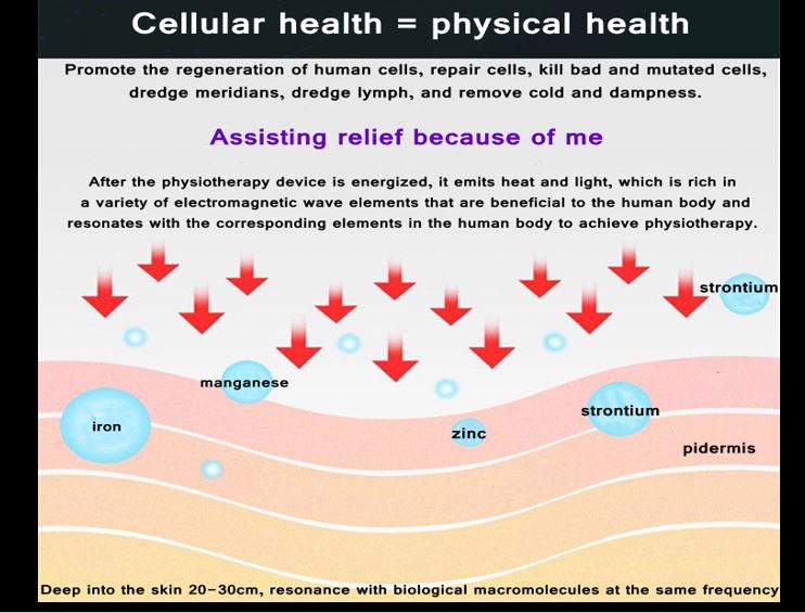 Cellular Health is Physical Health