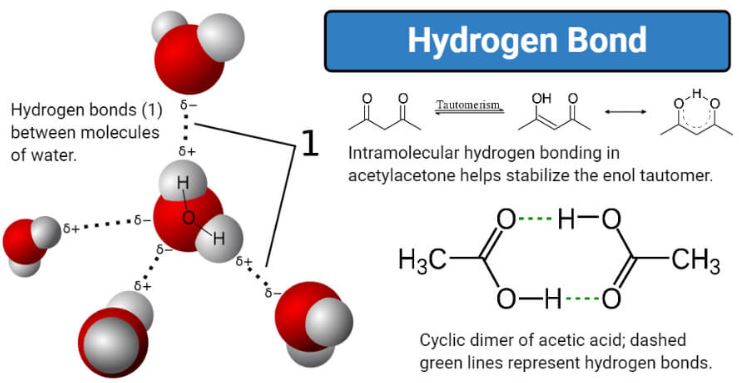 Hydrogen bonds and Terahertz therapy.